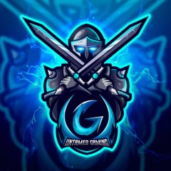 Ameer Gamer