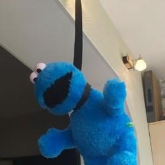 Rileyscrafts G