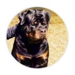 The Jaan and his family