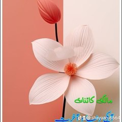 Yaseen