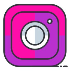 SnapInsta Video Download