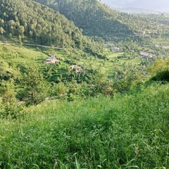 Apna kashmir
