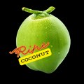 Ripe Coconut