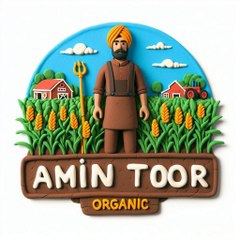Amin Toor