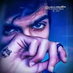 Adeel Nazir