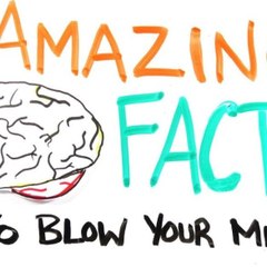 amazingfacts3690