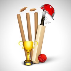 cricket and football world