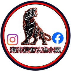 巴西游戏引流【小翼TG @ku52121】