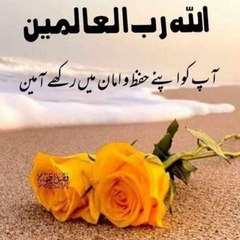 amirkalyar06