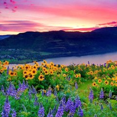 Comedy Entertainment and Education