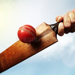 Cricket team