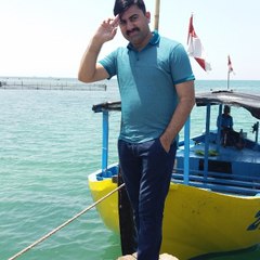 MMCollections