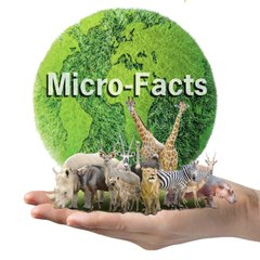 Microfacts