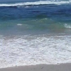 Alejandra Blanc Medina