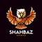 Shahbazahmed7561