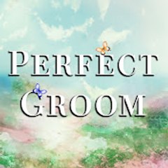 Perfect Groom - Şahane Damat