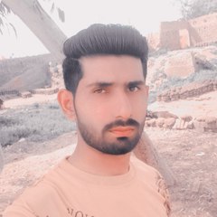 princealihamza451