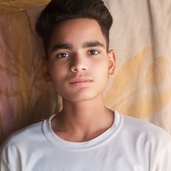 Sanjaygamer01