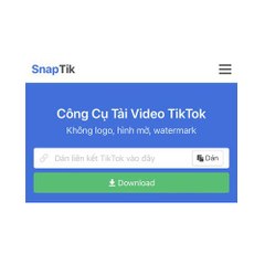 Tải video Tiktok Snaptik