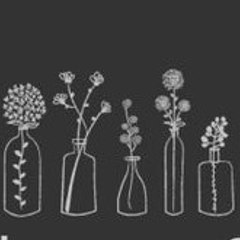 Dried Flowers & Decor