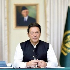 Ahmad fancy chiks corner