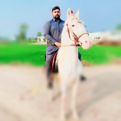 Horse Lover