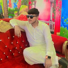 Asad vloger