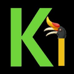 kalimantansatutv
