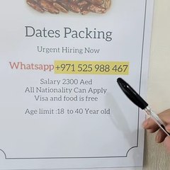 Basharat Ali
