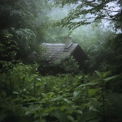 Nature lover