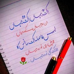 Tariq Mahmood