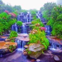 Serenity Sounds