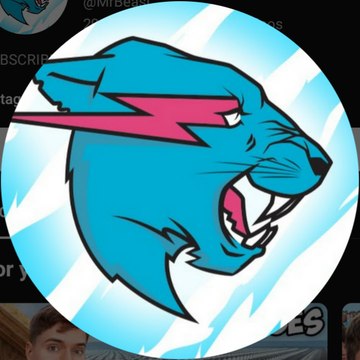Mr.Beast Official
