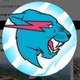 MR BEAST@