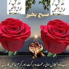 mziaulhaq_4u
