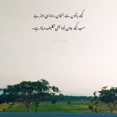 Amazing videos