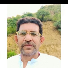 Syed Ameer Hussain Bukhari