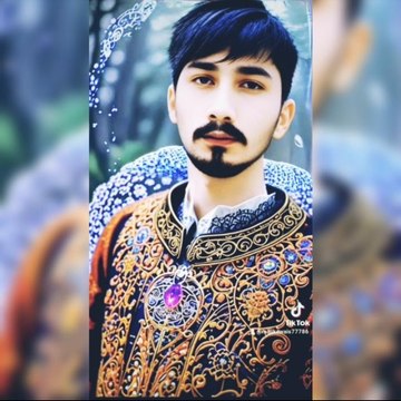 Malik Awais
