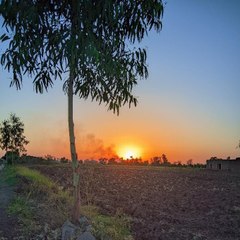 Muhammad Asif sheikh