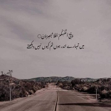 andleebgujjar95