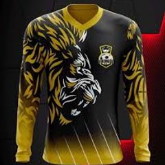 Asad pollard cricket videos