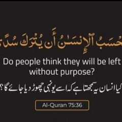 Waqar Khan