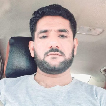 Birds and animals movie and video