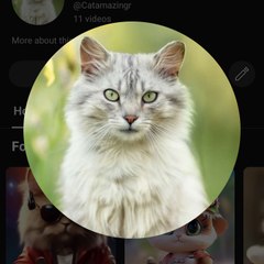 Cat lovers