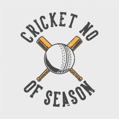 cricket vibe