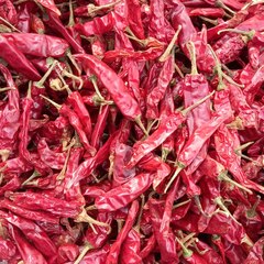 UMER AHMED M KALMANI