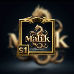 Malik  HASNAIN