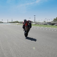 TheWheelieMan