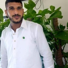Sibt Ul Hassan