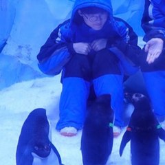 Sanghyeok đi dau day?